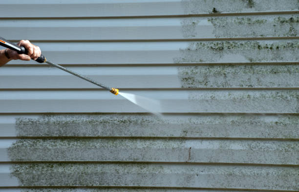Best Gutter Cleaning  in Mayflower Village, CA